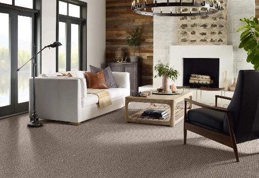 Living room Carpet | BC Flooring Outlet